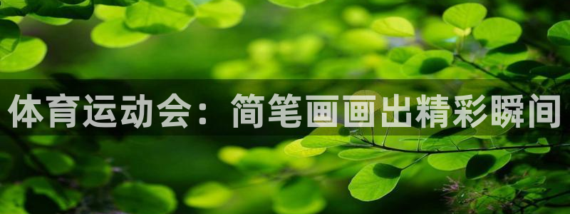 yy易游官方正版app娱乐代理怎么样:体育运动会:简笔画画出